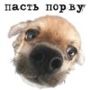 Аватара пользователя