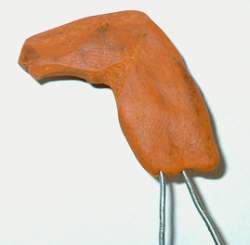 005.jpg