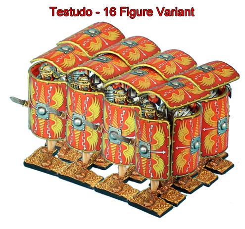 testudo16.jpg