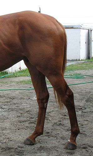 107493_Pr6.jpg