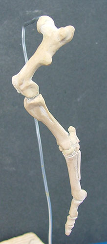 107122_H1.jpg