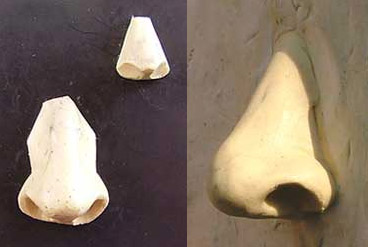 Nose_b01.jpg