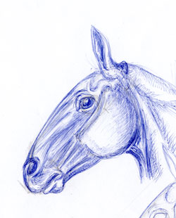 128274_head.jpg