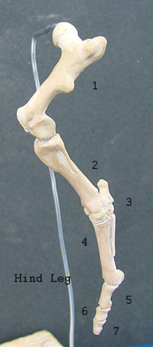 107177_H1copy.jpg