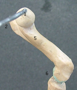 107181_H5copy.jpg