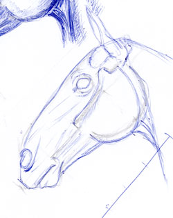128273_head2.jpg