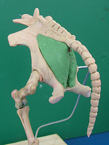 107195_H17.jpg