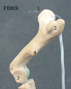 107178_H2copy.jpg