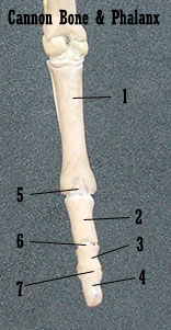 107186_H10copy.jpg