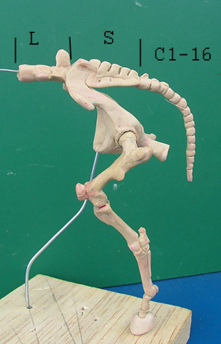 107190_H13.jpg