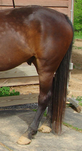107496_Pr9.jpg