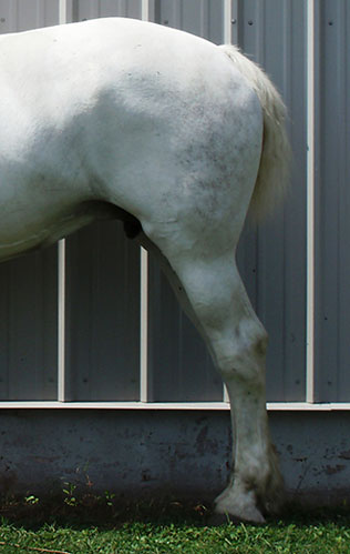 107488_Pr1.jpg