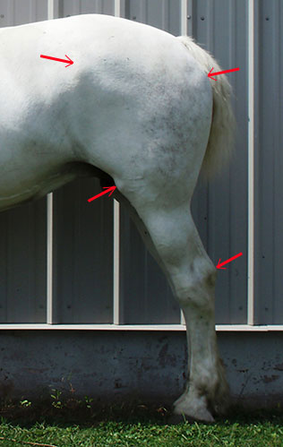 107589_Pr10.jpg