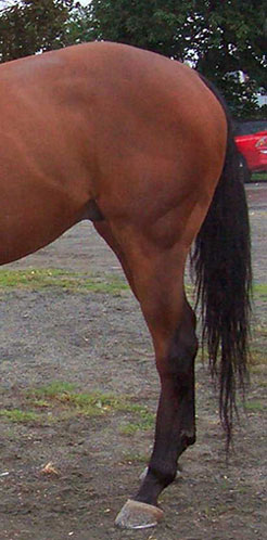 107492_Pr5.jpg