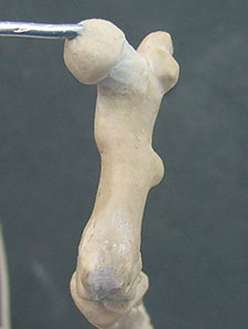 107127_H6.jpg