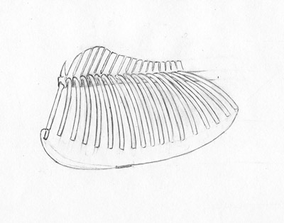 129172_ch17.jpg