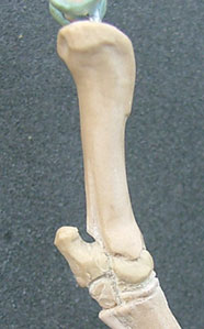 107130_H9.jpg