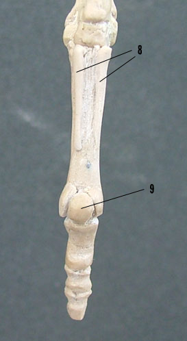 107188_H12copy.jpg