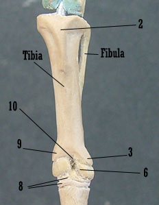 107184_H7copy.jpg