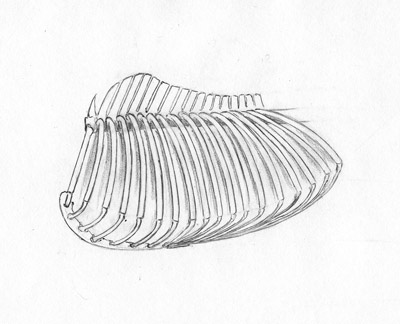 129173_ch18.jpg