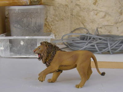 P4280050(1)_1.JPG