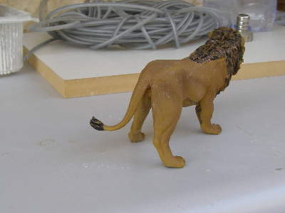 P4280051_1.JPG