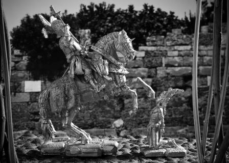 DSC_7986(1).jpg