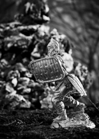 DSC_1190(1).jpg