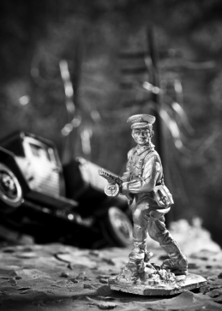 DSC_4497(1).jpg