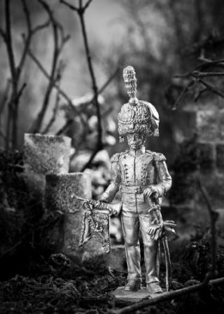 DSC_2796(1).jpg