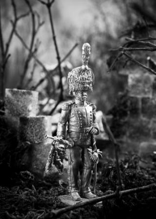DSC_2795(1).jpg