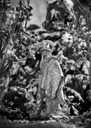 DSC_2973(1).jpg
