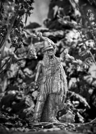 DSC_2972(1).jpg