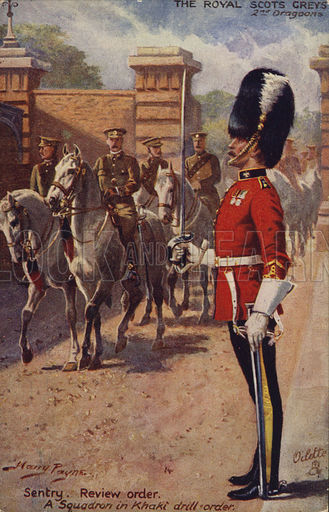 Scots_greys.jpg