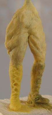 74.jpg
