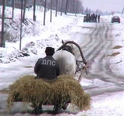 мен44.jpg