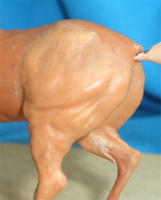 выездка-2.jpg