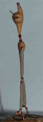 Без имени-3.jpg