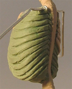 AS22.jpg