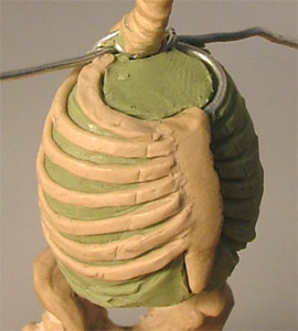 AS24.jpg