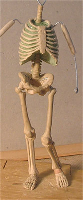 AS26.jpg