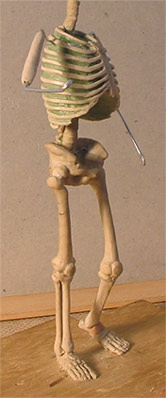 AS27.jpg