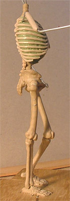 AS28.jpg