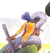 b4.jpg