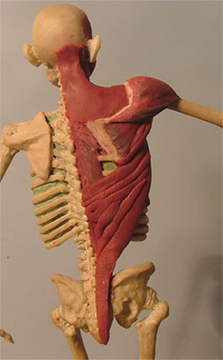 Back10.jpg