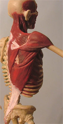 Back12.jpg