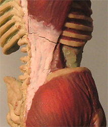 Back15.jpg