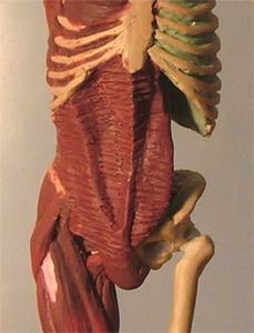 Back16.jpg