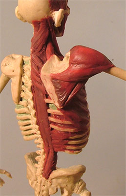 Back4.jpg