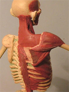 Back6.jpg